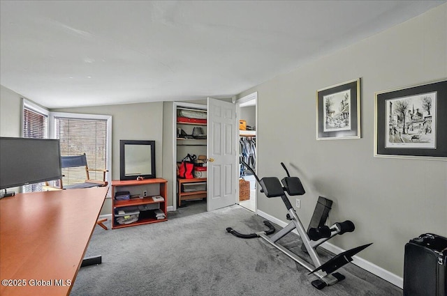 exercise area with baseboards and carpet floors