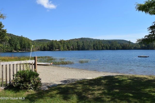 view of water feature featuring a boat dock and a view of trees