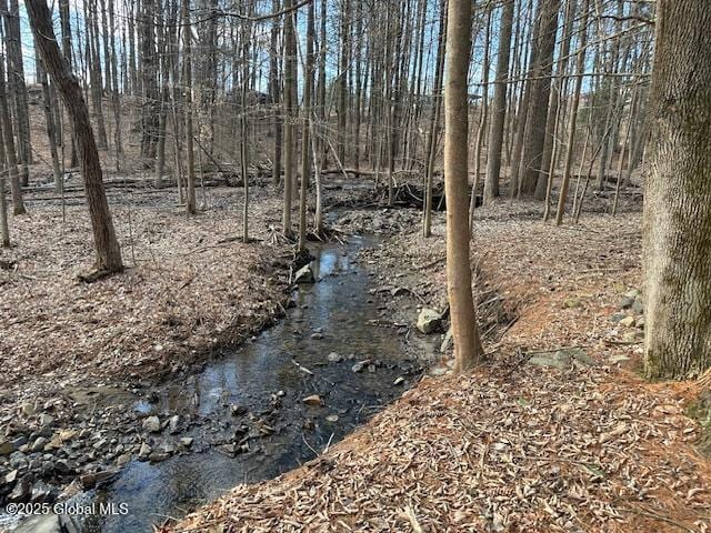 view of local wilderness