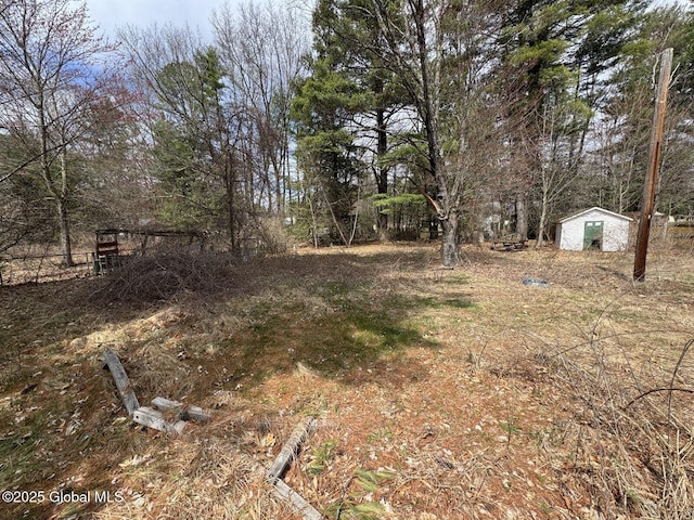 view of yard with a storage shed and an outdoor structure