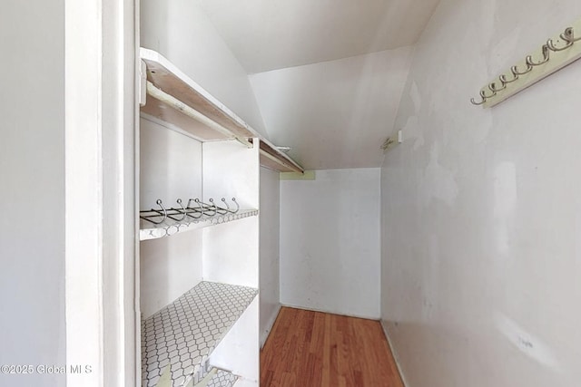 walk in closet with light wood-style floors