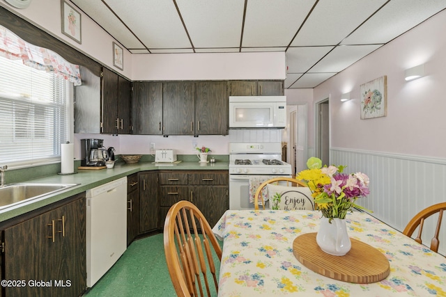 kitchen featuring dark brown cabinetry, a sink, white appliances, a paneled ceiling, and a wainscoted wall