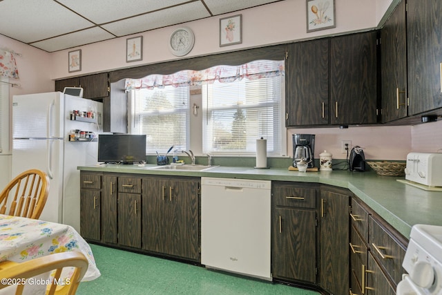 kitchen with dark brown cabinetry, white appliances, light floors, a paneled ceiling, and a sink
