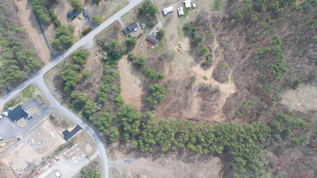L3 Blue Lupine Ln, Wilton, NY 12831 - photo 3