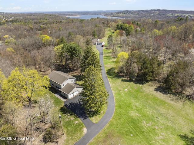 27 Aaron Dr, Catskill, NY 12414 - view of subject property with a large body of water and a forest