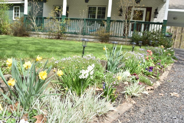 view of yard with a garden