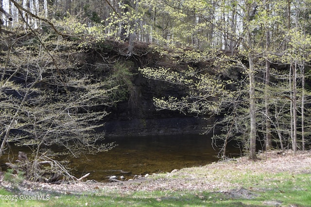 view of nature