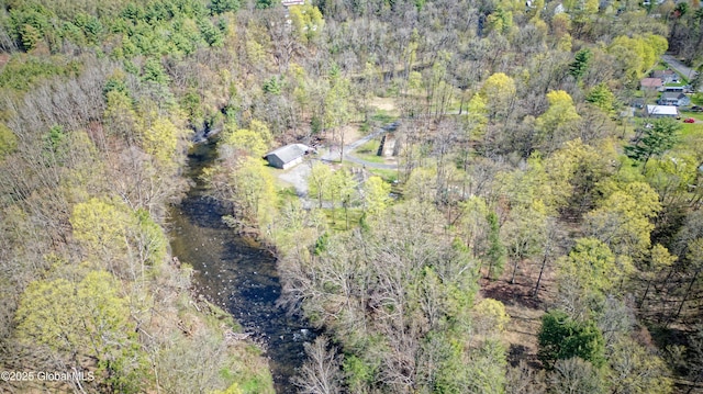 drone / aerial view with a forest view