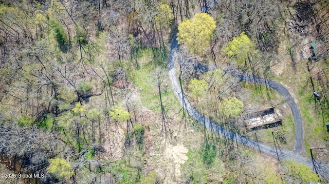 bird's eye view