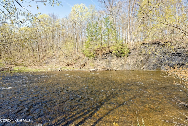 view of landscape