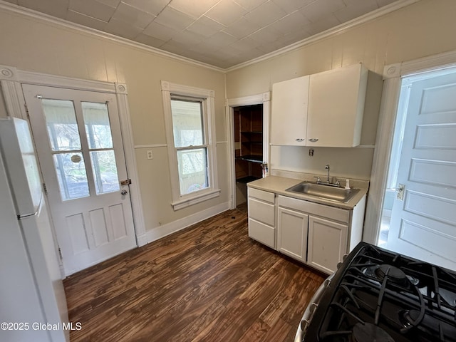 25-27 Caroline St, Amsterdam, NY 12010 - kitchen with crown molding, freestanding refrigerator, light countertops, a sink, and dark wood finished floors