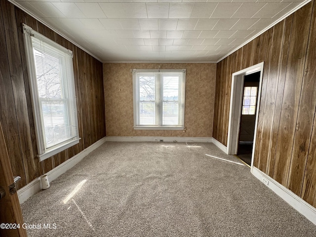 29 Park St, Fonda, NY 12068 - carpeted empty room featuring wood walls, ornamental molding, and plenty of natural light