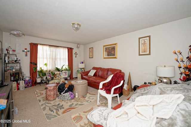 living room with carpet floors