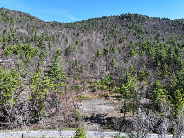 340 W Hague Rd, Hague, NY 12836