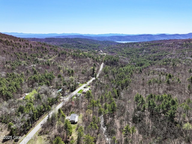 340 W Hague Rd, Hague, NY 12836