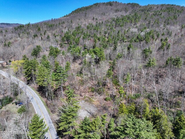 340 W Hague Rd, Hague, NY 12836