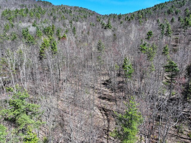 340 W Hague Rd, Hague, NY 12836