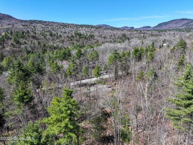 340 W Hague Rd, Hague, NY 12836