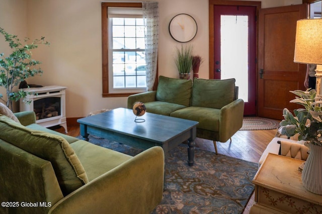 living area with wood finished floors