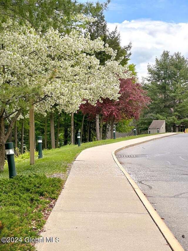 5A6 Sagamore Rd, Bolton, NY 12814 - view of community