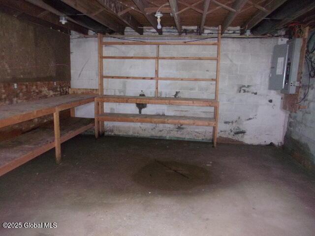 unfinished basement featuring electric panel
