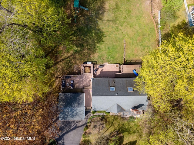 drone / aerial view