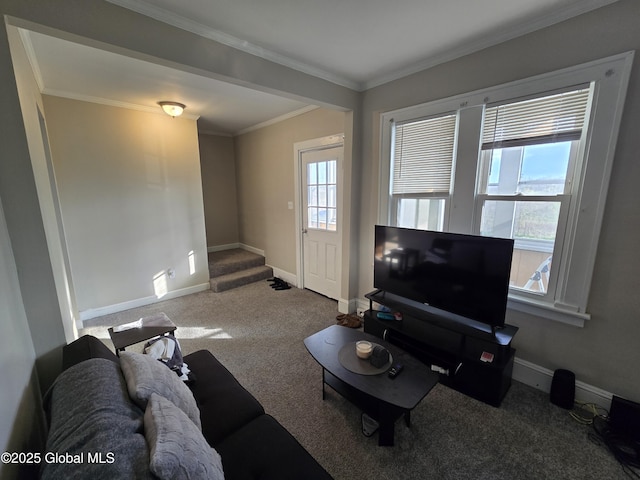 carpeted living room with crown molding and baseboards