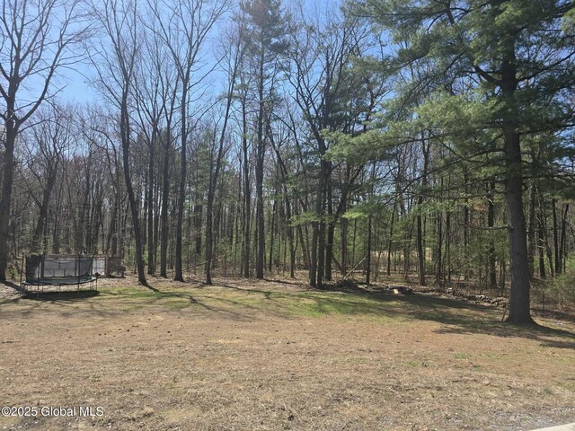view of landscape featuring a wooded view
