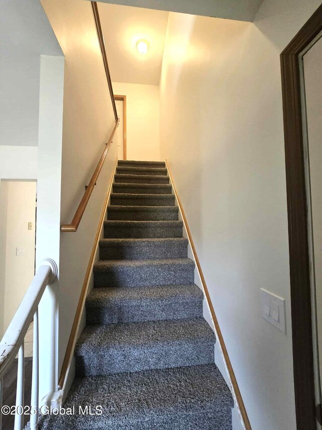 staircase featuring carpet