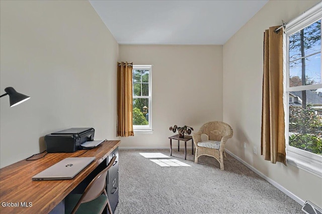 37 Donegal Way, Wilton, NY 12866 - photo 25