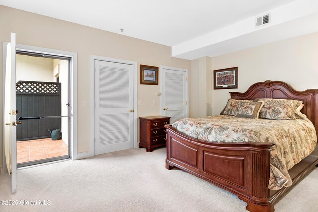 73 Railroad Pl Unit 403-404, Saratoga Springs, Inside, NY 12866 - bedroom with light colored carpet