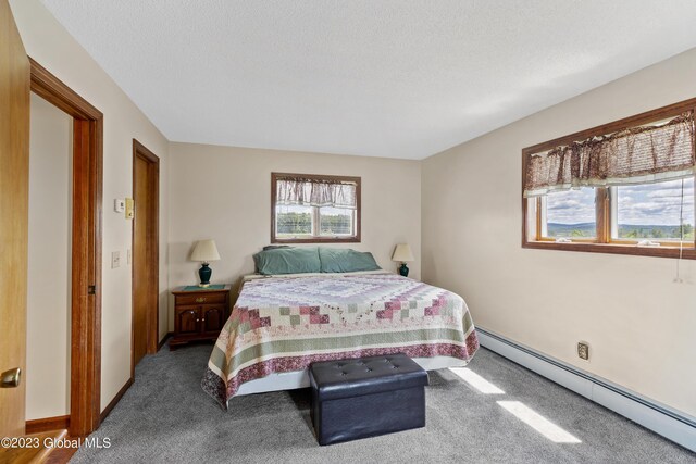 373 County Route 42, Fort Edward, NY 12828 - bedroom with carpet, baseboards, and a baseboard radiator