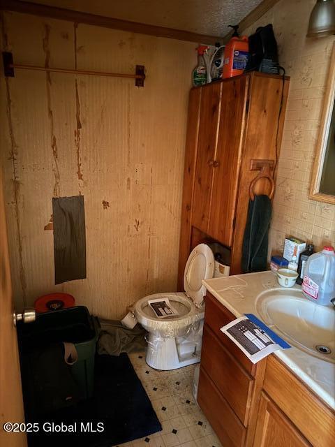 half bath with vanity and toilet