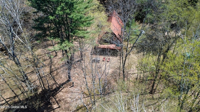 bird's eye view