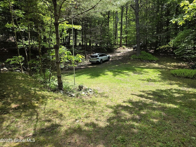 95 Marion Rd, Edinburg, NY 12134 - view of grassy yard featuring a forest view