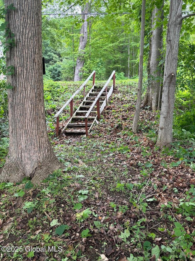 95 Marion Rd, Edinburg, NY 12134 - view of yard featuring a forest view