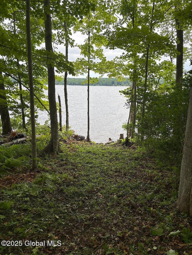 95 Marion Rd, Edinburg, NY 12134 - water view