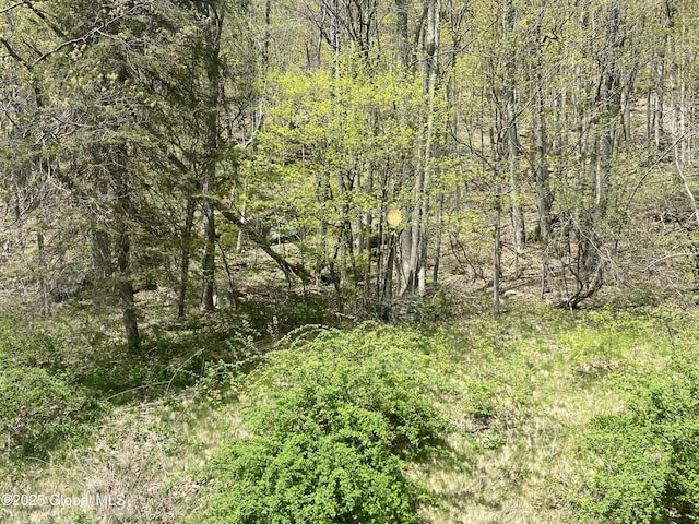 18751 State Route 22, Petersburgh, NY 12138 - view of tree filled area