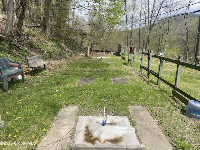 18751 State Route 22, Petersburgh, NY 12138 - view of yard
