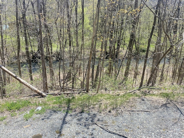 18751 State Route 22, Petersburgh, NY 12138 - view of local wilderness