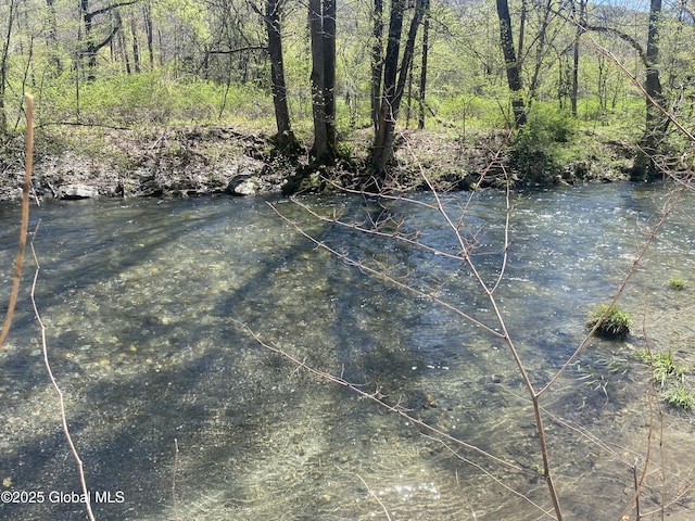 18751 State Route 22, Petersburgh, NY 12138 - water view