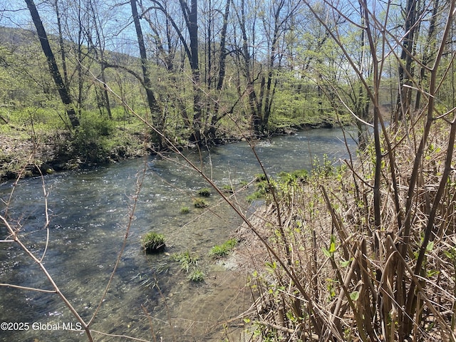 18751 State Route 22, Petersburgh, NY 12138 - water view
