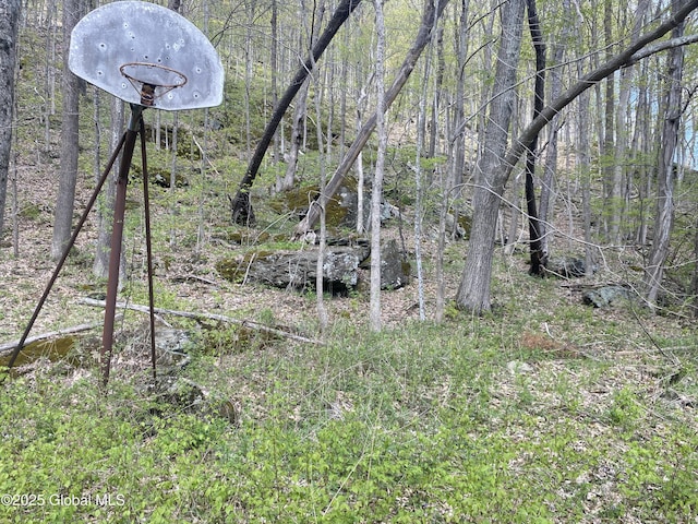 18751 State Route 22, Petersburgh, NY 12138 - view of local wilderness