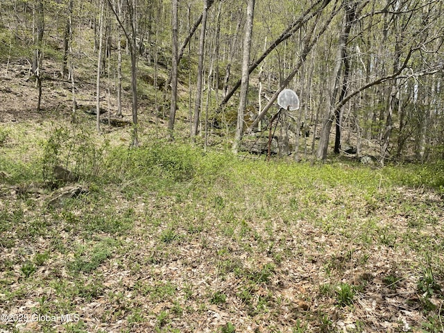 18751 State Route 22, Petersburgh, NY 12138 - view of undeveloped land