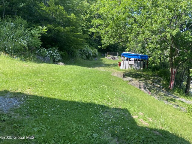 18751 State Route 22, Petersburgh, NY 12138 - view of green lawn