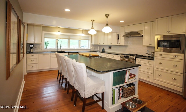 kitchen with backsplash, dark countertops, range hood, a sink, and stainless steel appliances