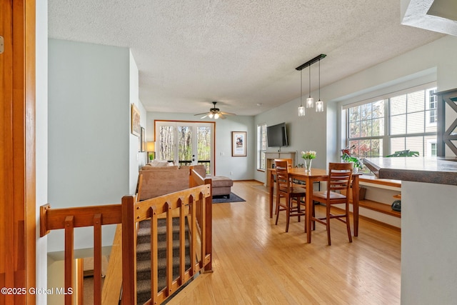 dining area featuring light wood-style floors, ceiling fan, and a textured ceiling