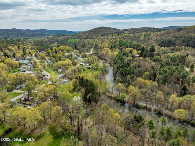 bird's eye view with a mountain view and a wooded view