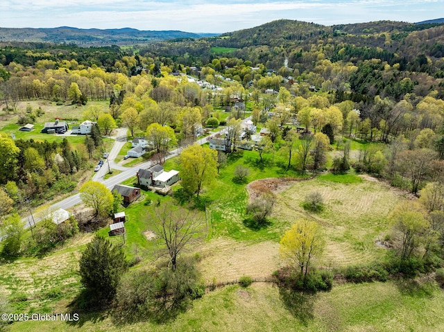 birds eye view of property featuring a mountain view and a wooded view