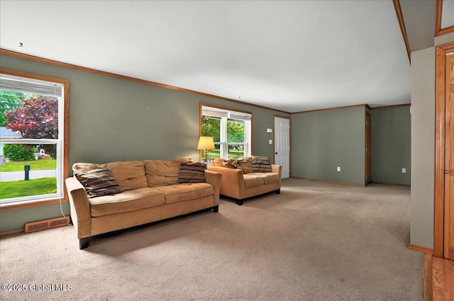 23 Hilton Dr, Moreau, NY 12803 - living area featuring carpet flooring and crown molding